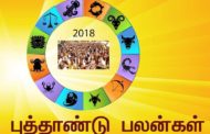 2018: தமிழ் மக்களுக்குப் புத்தாண்டுப் பலன் எப்படி? -நிலாந்தன்.