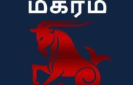 மகரத்தில் குடியேறப்போகும் நரம்பு நாயகன் புதன் 12 ராசிகளுக்கும் பலன்கள் பரிகாரங்கள்.