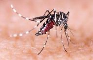 இலங்கையில் டெங்கு நோய் அதிகரிப்பு- 36 ஆயிரம் பேர் பாதிப்பு