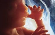 வயிற்றில் குழந்தையின் இயக்கங்கள் பற்றி எல்லாம். குழந்தை வயிற்றில் சிறிது நகர்கிறது  