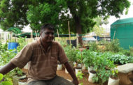மாவிட்டபுரத்தில் ஒருங்கிணைந்த பண்ணை!- சாதிக்கும் சசிகுமார்