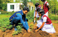 பாடசாலையில் அனுபவக்கல்வி – ச.பிரியசகி (கிழக்குப் பல்கலைகழகம்)