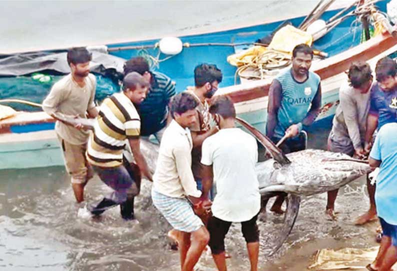 மீண்டு வருமா மீனவர் வாழ்வு?